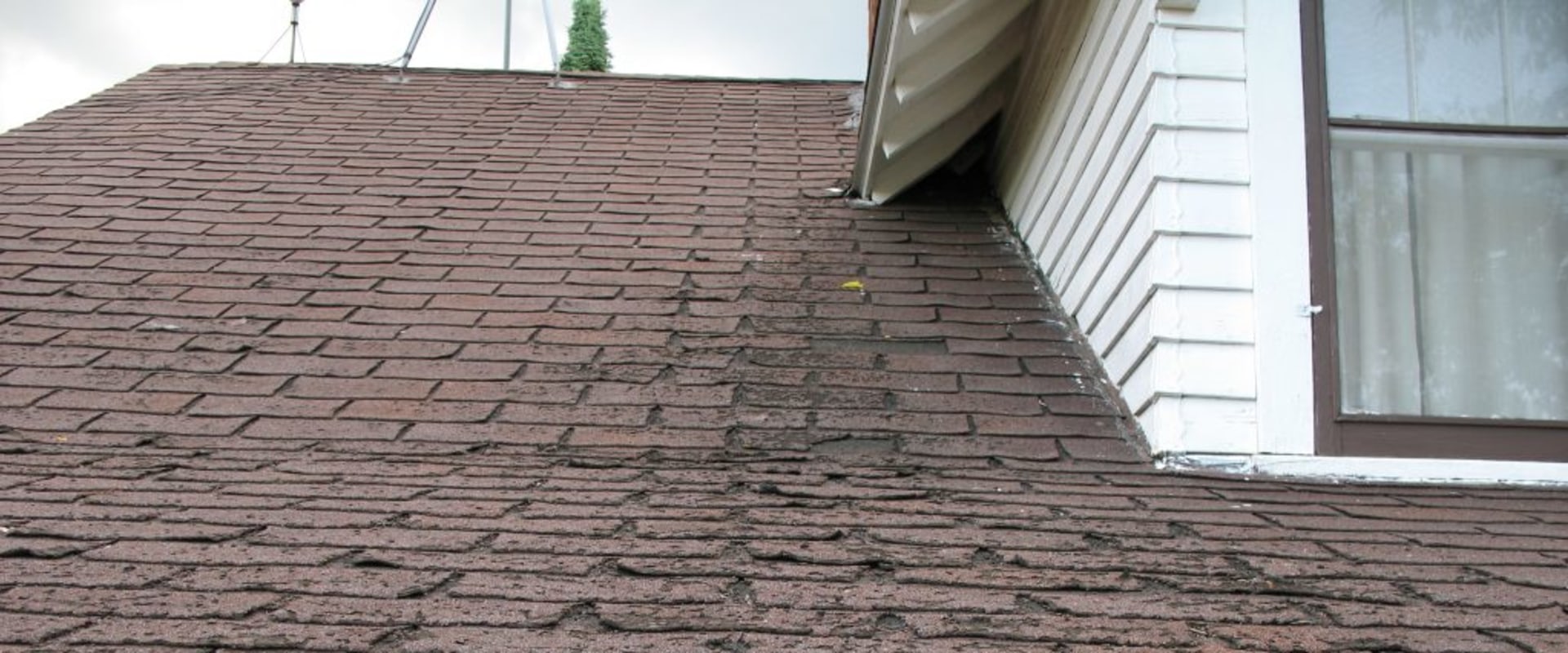 What does a roof look like when it needs to be replaced?