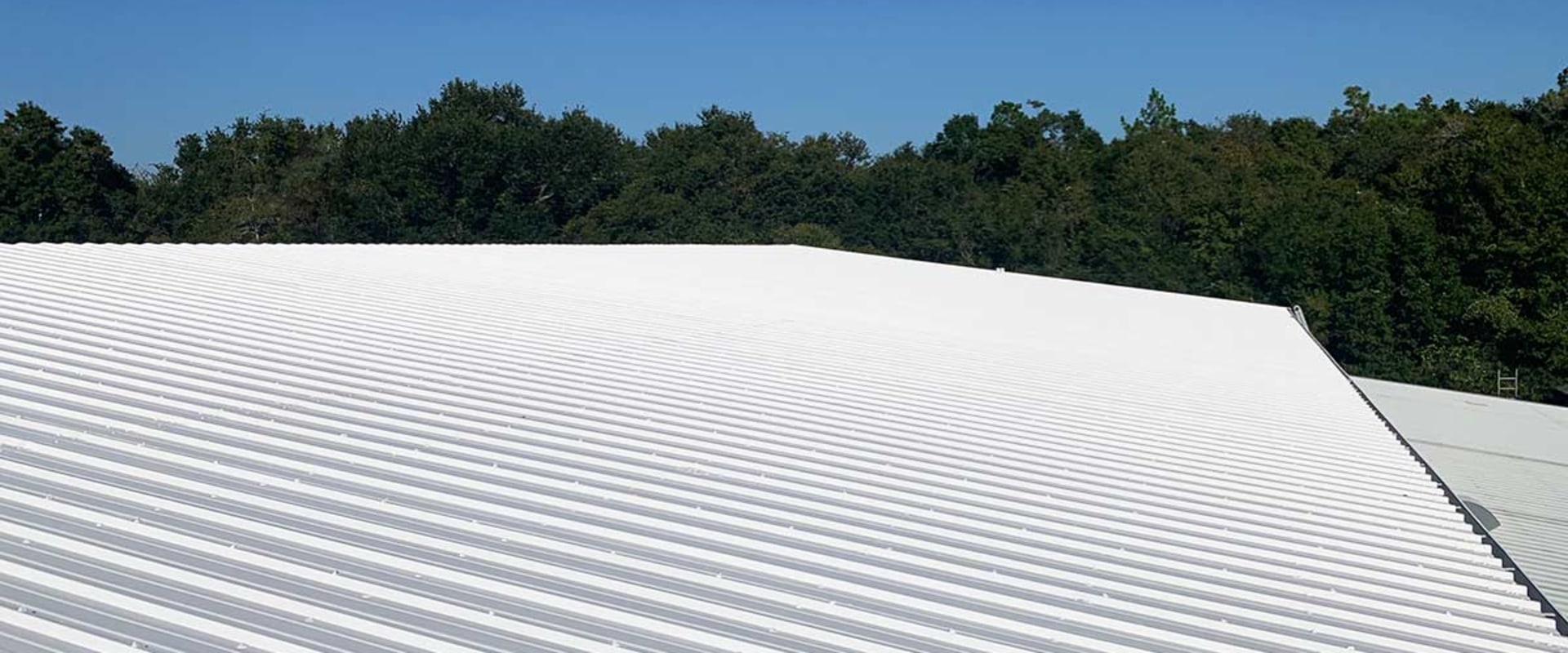 What is the longest lasting roof coating?